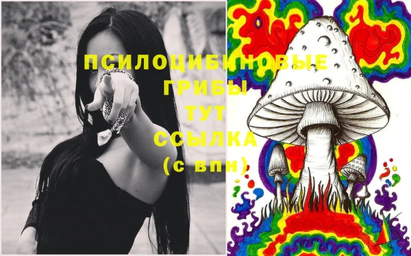 дживик Алзамай