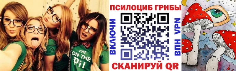 магазин продажи   Пенза  Псилоцибиновые грибы мухоморы 