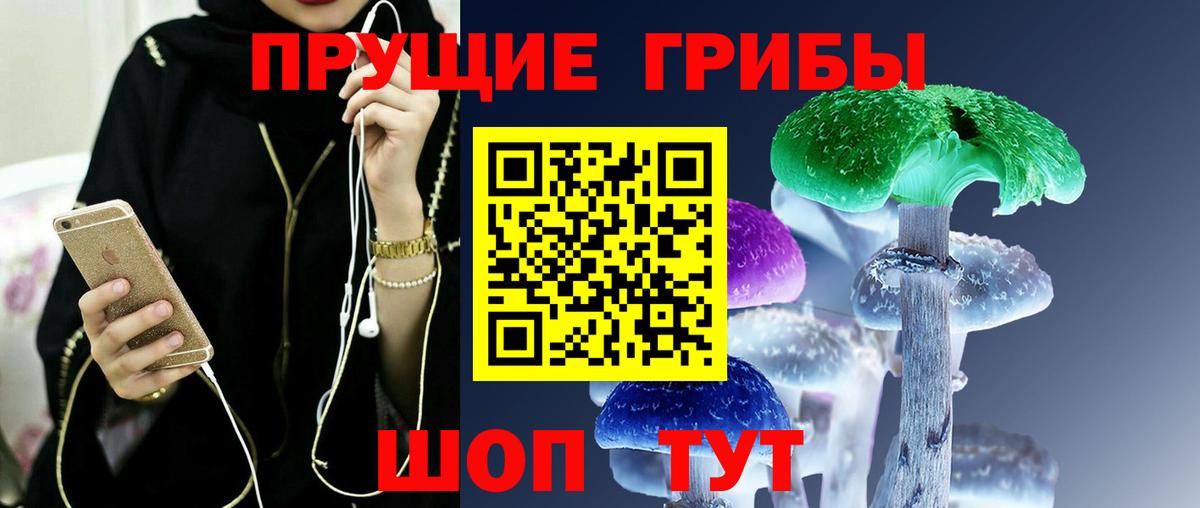 Галлюциногенные грибы GOLDEN TEACHER  Вход с VPN  Пенза 