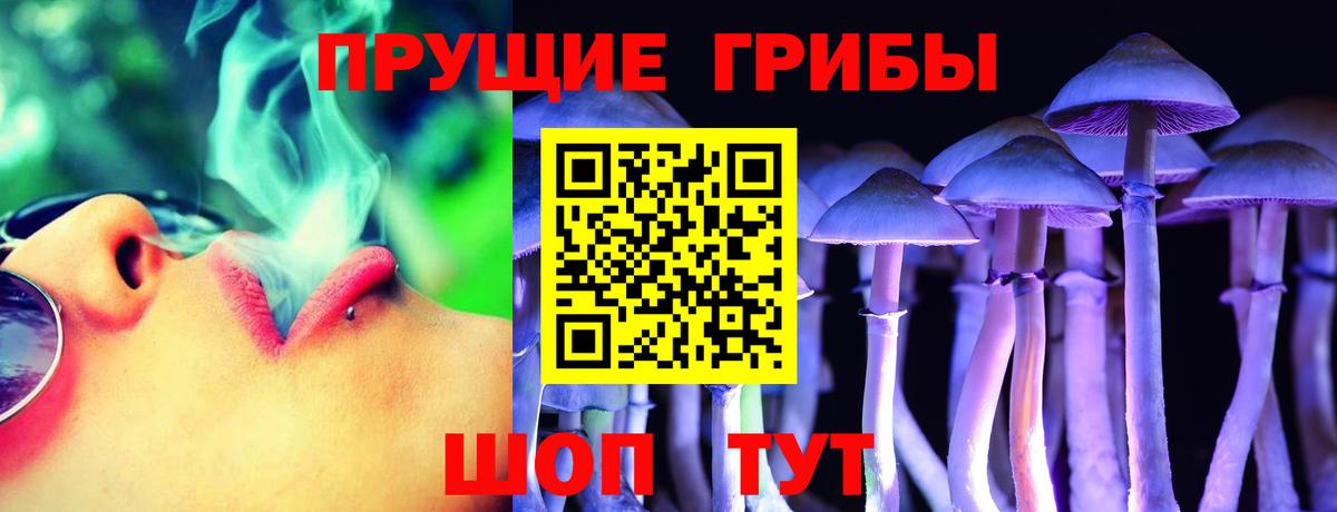 Галлюциногенные грибы MAGIC MUSHROOMS Пенза
